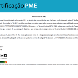 PME Líder 2017-pt-de